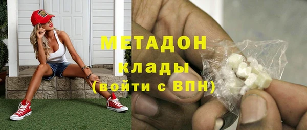 хмурый Пересвет